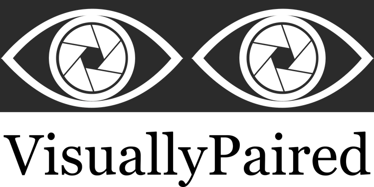 visually_paired_logo